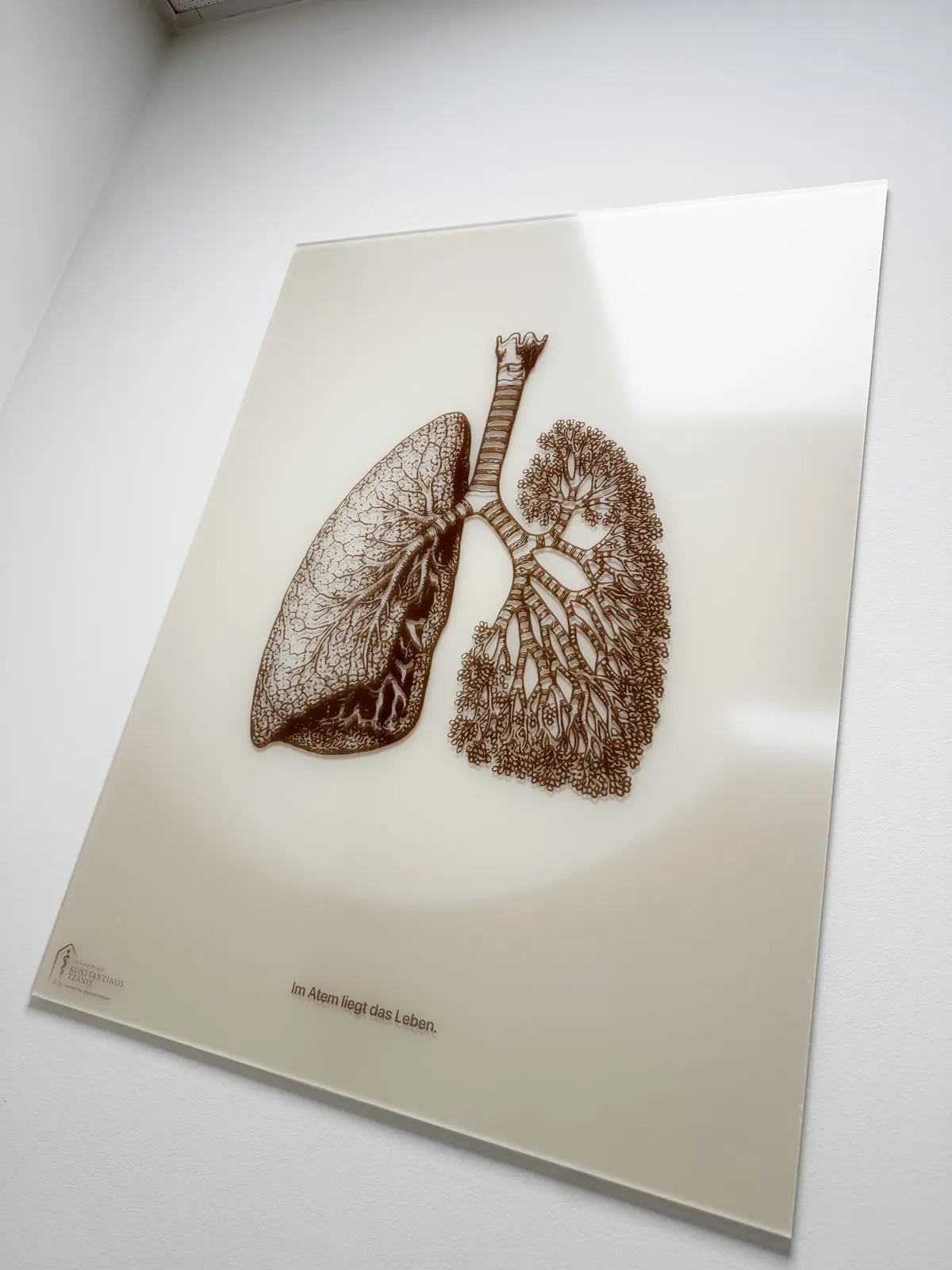 Anatomische Kunstdrucke in der Praxis Tzanis